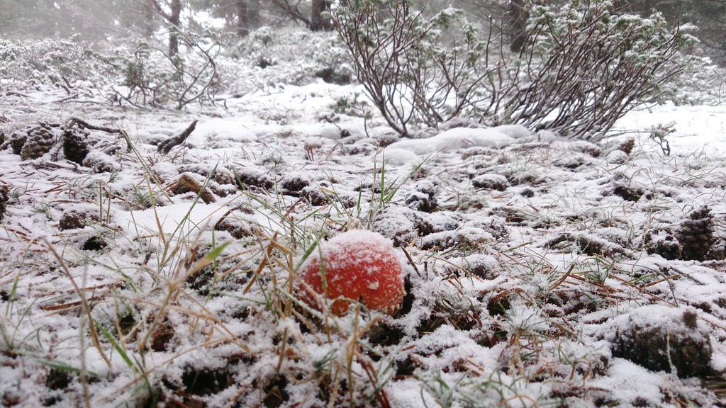 La Hosteria De Castroviejo Duruelo de la Sierra Kültér fotó